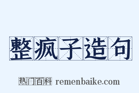 整疯子造句是什么意思的图片